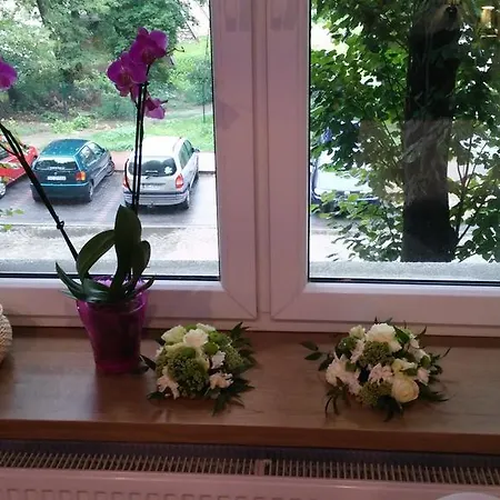 A3xd * צ'סטוצ'ובה