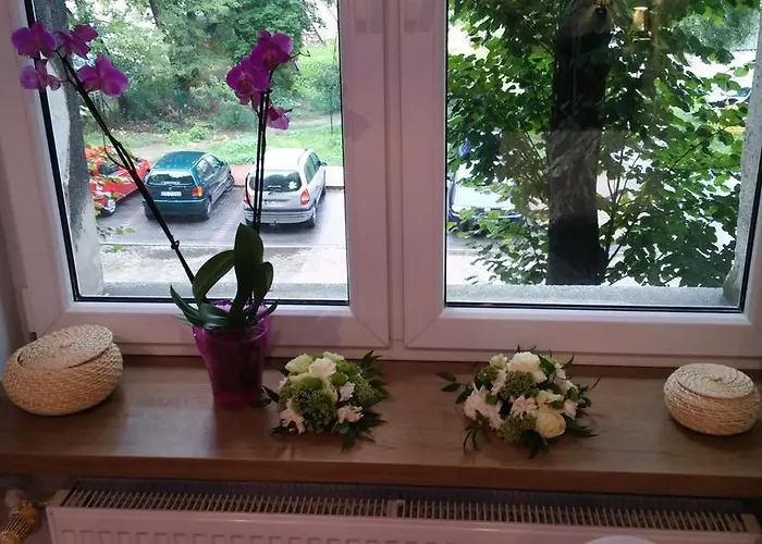 A3xd * 琴斯托霍瓦